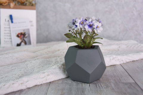 Enoch Concrete Succulent Planter (MF0114)