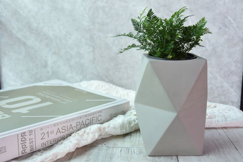 Noah Concrete Succulent Planter (MF2193S)